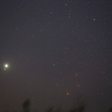 金星・土星の大接近とさそりの出