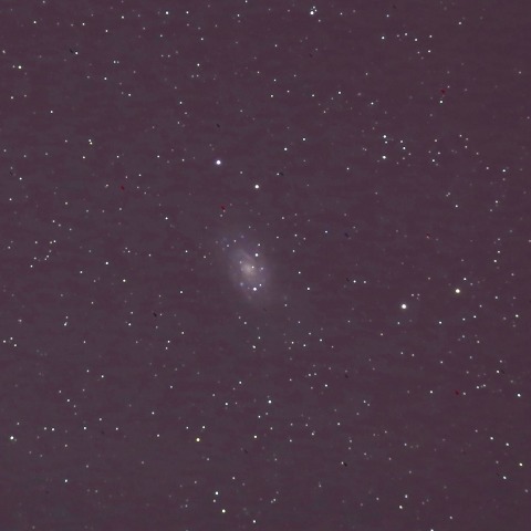 NGC2403棒渦巻銀河