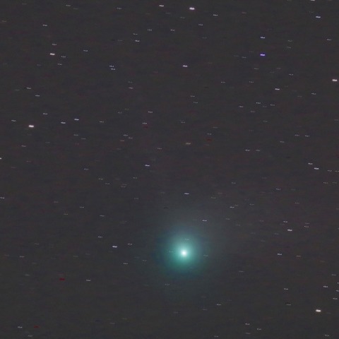 1/14カタリナ彗星(C/2013US10)