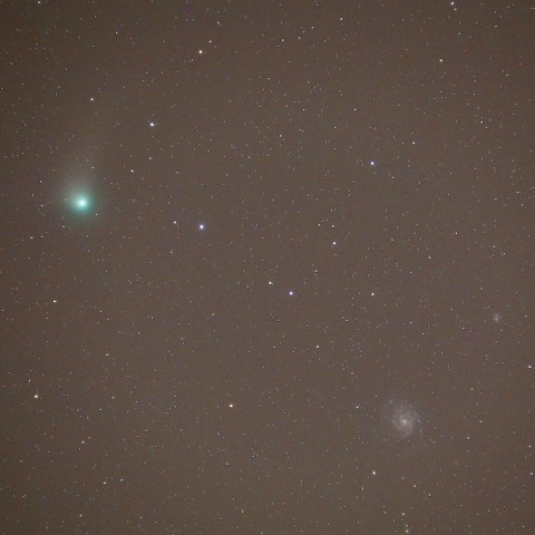 1/17カタリナ彗星とM101回転花火銀河の接近