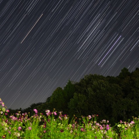 秋気有、出オリオン
