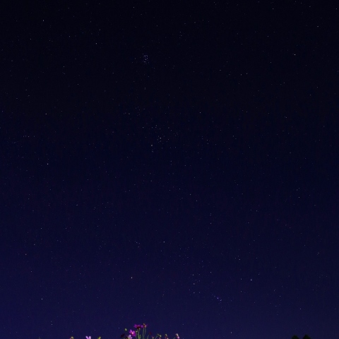 コスモス上空の秋から冬へ