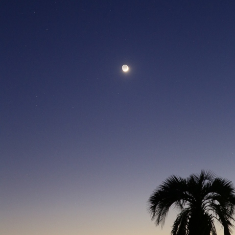 金星・三日月と45P
