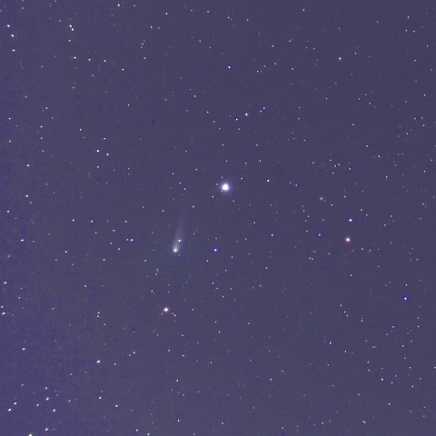 1/25未明のジョンソン彗星(C/2015 V2)