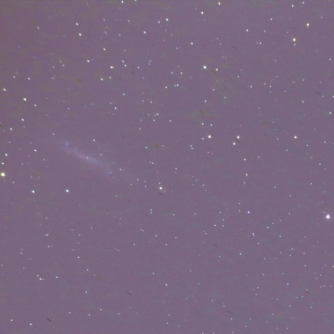 NGC4236 棒渦巻銀河