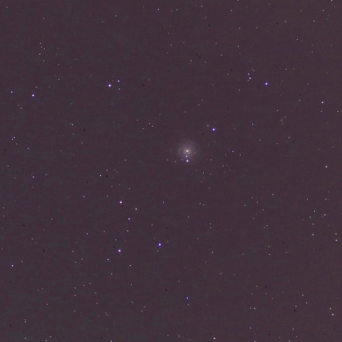 NGC3344 棒渦巻銀河