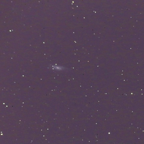 NGC4559 渦巻銀河