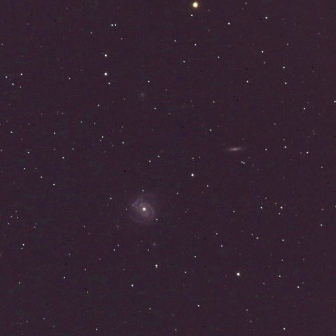 M100 (NGC4321)フェイスオン銀河
