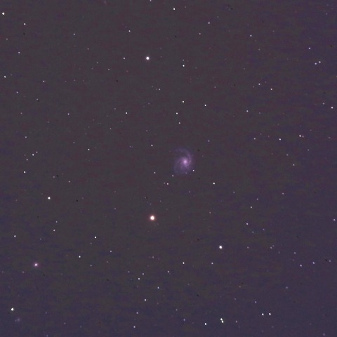 M99 (NGC4254) 渦巻銀河