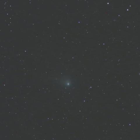 4/28のジョンソン彗星(C/2015V2)