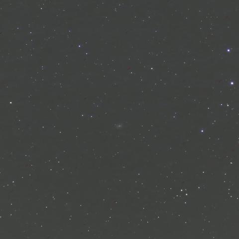 NGC6217 棒渦巻銀河