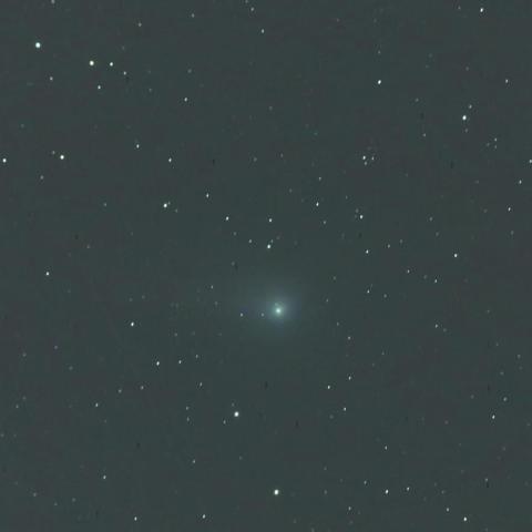 5/18ジョンソン彗星(C/2015V2)