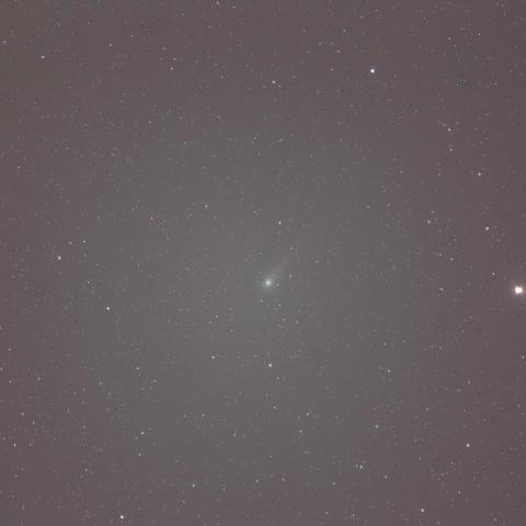 5/27ジョンソン彗星(C/2015V2)