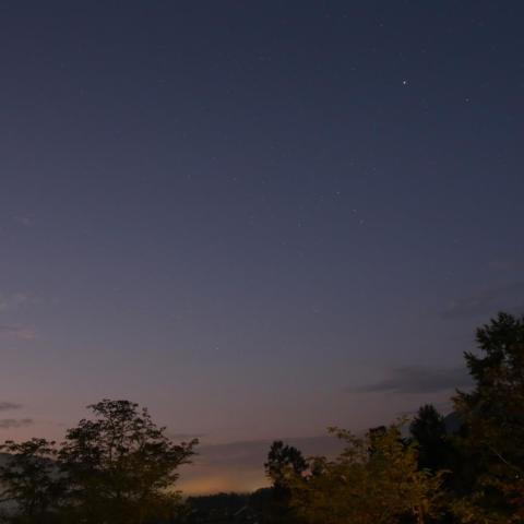 早暁のおおいぬ座