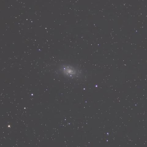 NGC2403棒渦巻銀河