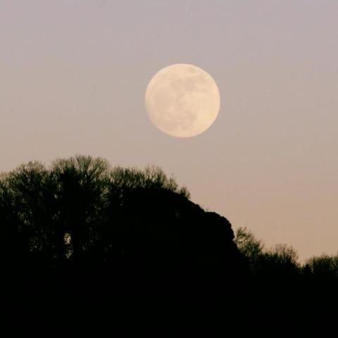 2018初月の出(月齢14)from市原市