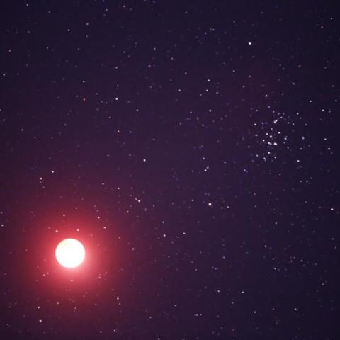 皆既月食とかに座