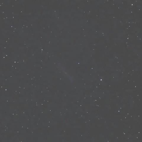 NGC4236 棒渦巻銀河