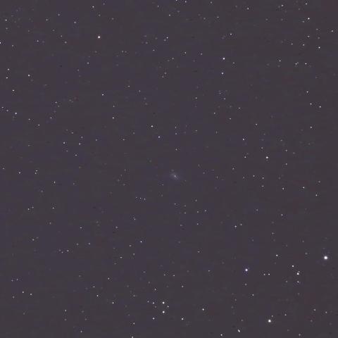 NGC6217 棒渦巻銀河