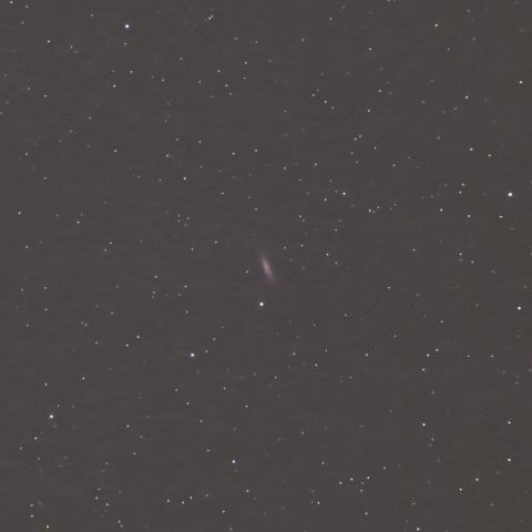 NGC6503 渦巻銀河