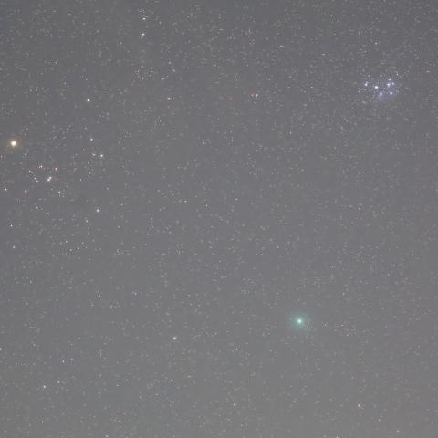 12/14の46P/ウィルタネン彗星