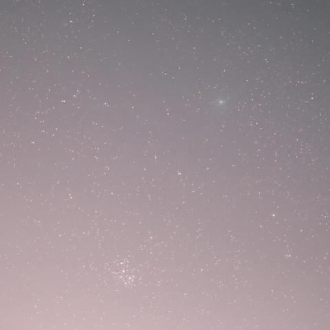 12/19未明46P/ウィルタネン彗星