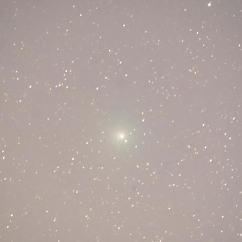 12/19未明46P/ウィルタネン彗星