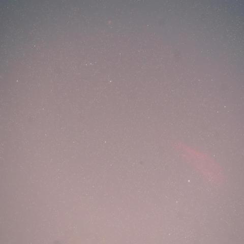 12/19未明46P/ウィルタネン彗星