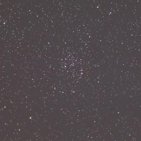 M50(NGC2323)散開星団
