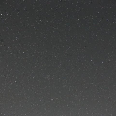 1/4未明 しぶんぎ座流星群