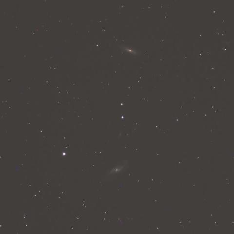  NGC4527とNGC4536 渦巻銀河