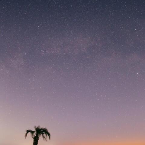 東天の夏の大三角