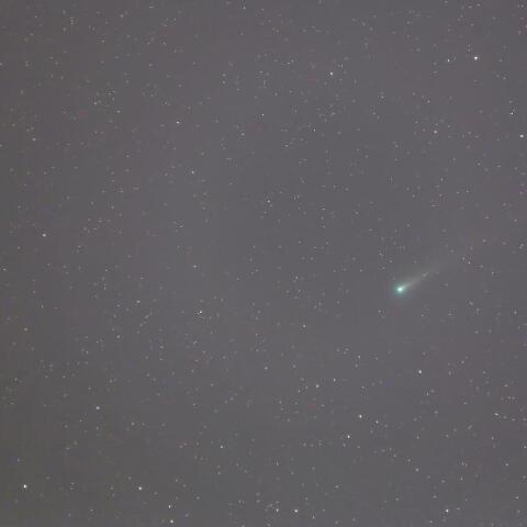 C/2021A1 (レナード彗星) M3接近 (12/2未明)