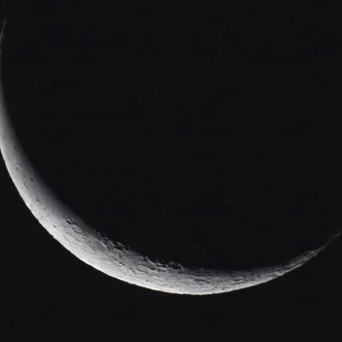 月齢27  (12/2未明)