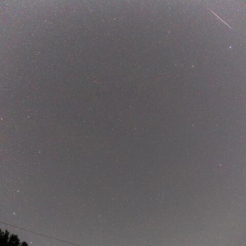 ふたご座流星と立ち上がるししとおおぐま