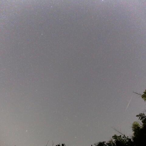 ふたご座流星とうみへびとおとめ