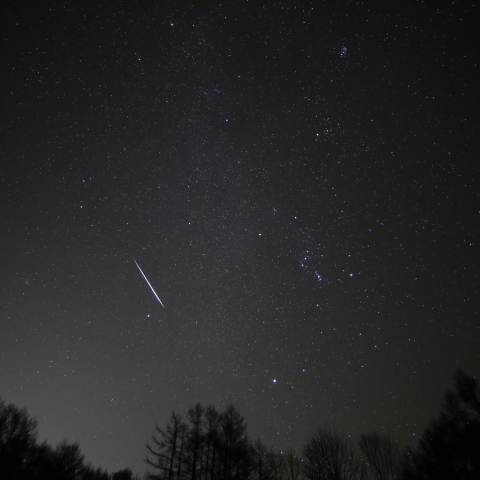 ふたご座流星群