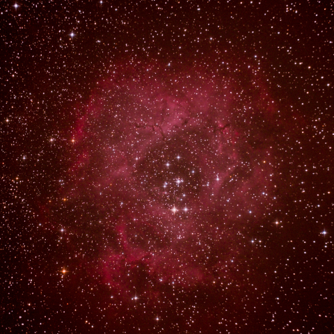 NGC2244 バラ星雲
