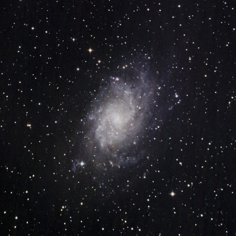 M33  さんかく座の銀河