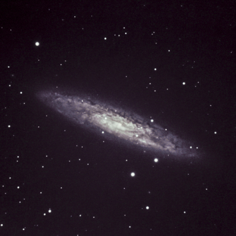 NGC 253