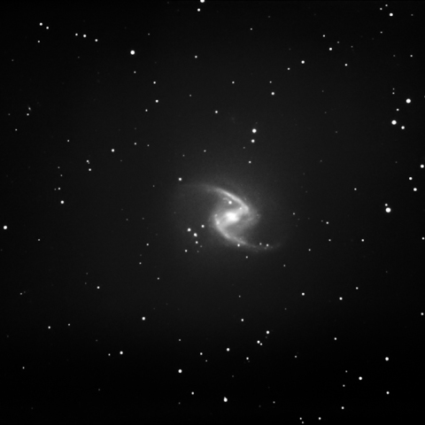 NGC 1365