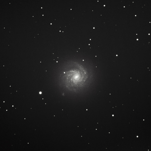 NGC 1232