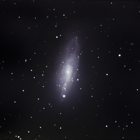 NGC 247