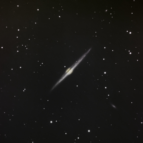 NGC 4565
