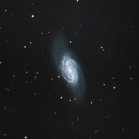 NGC 2903