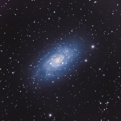 NGC 2403