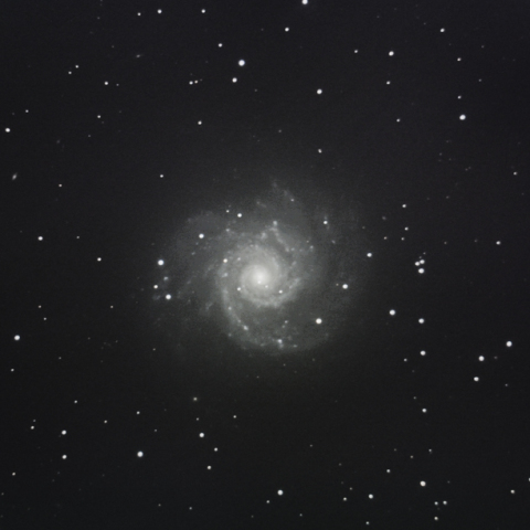 M 74