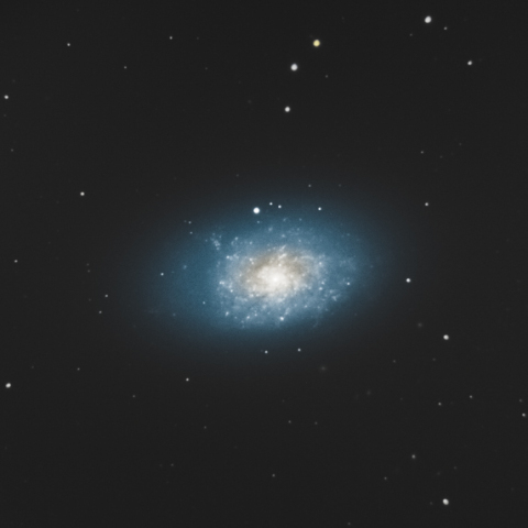 NGC 7793