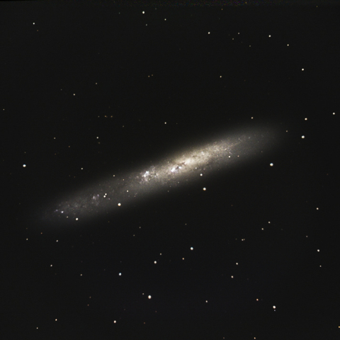 NGC 55
