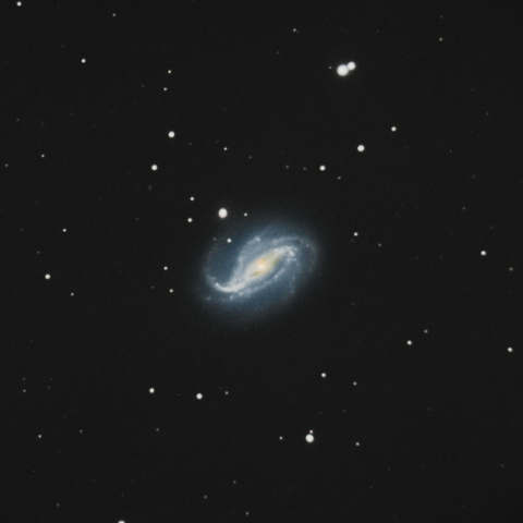NGC 613
